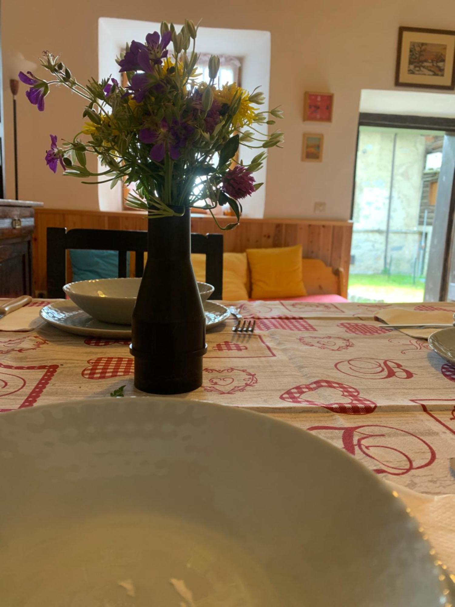 Apartment Irma & Casa Nino- Miniappartamenti *