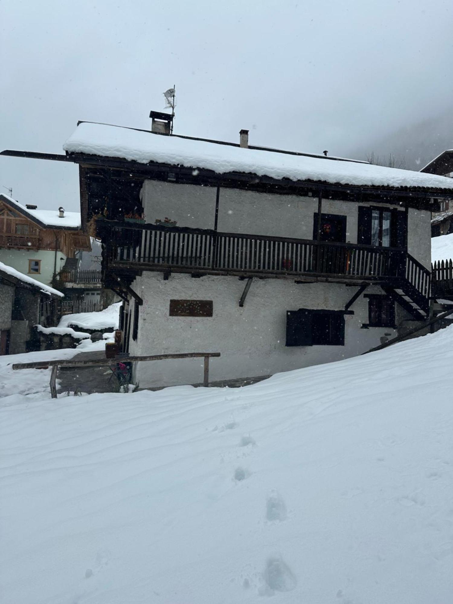 Apartment Irma & Casa Nino- Miniappartamenti